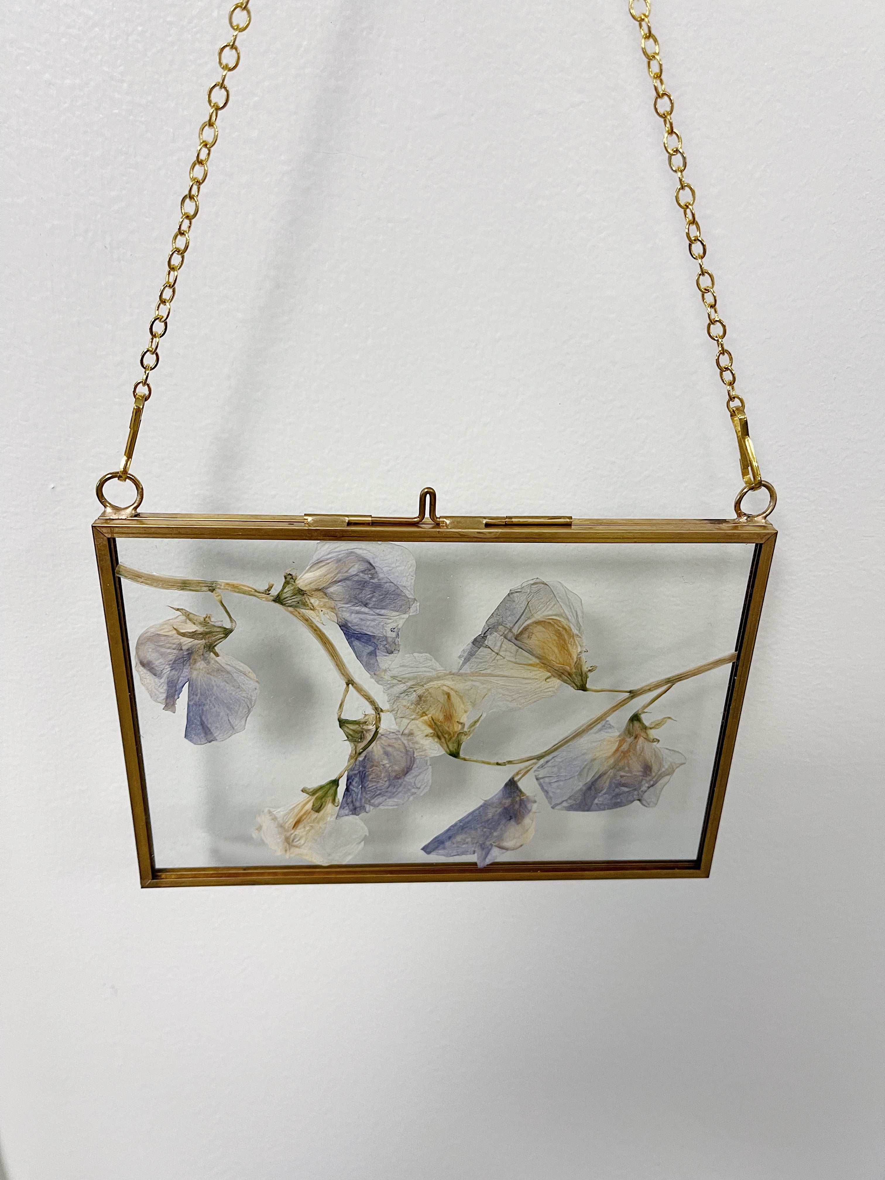 Hanging Float Pressed Flower Frame  Black Rectangle – Element Design