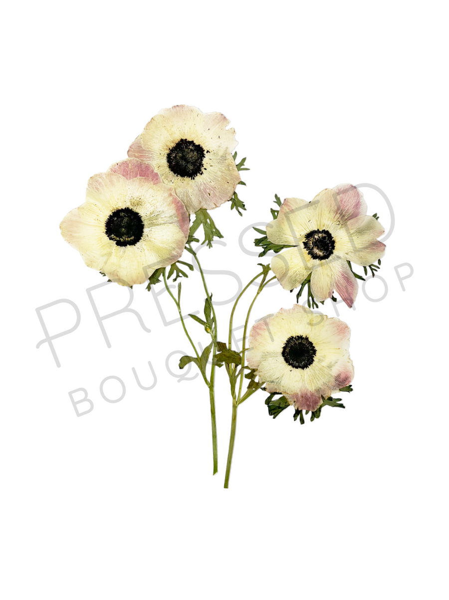 Pressed Bunch of Flowers | Downloadable Print