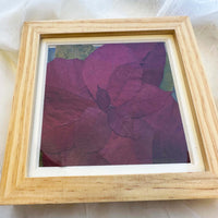 6x6 Natural Wood Poinsettia frame