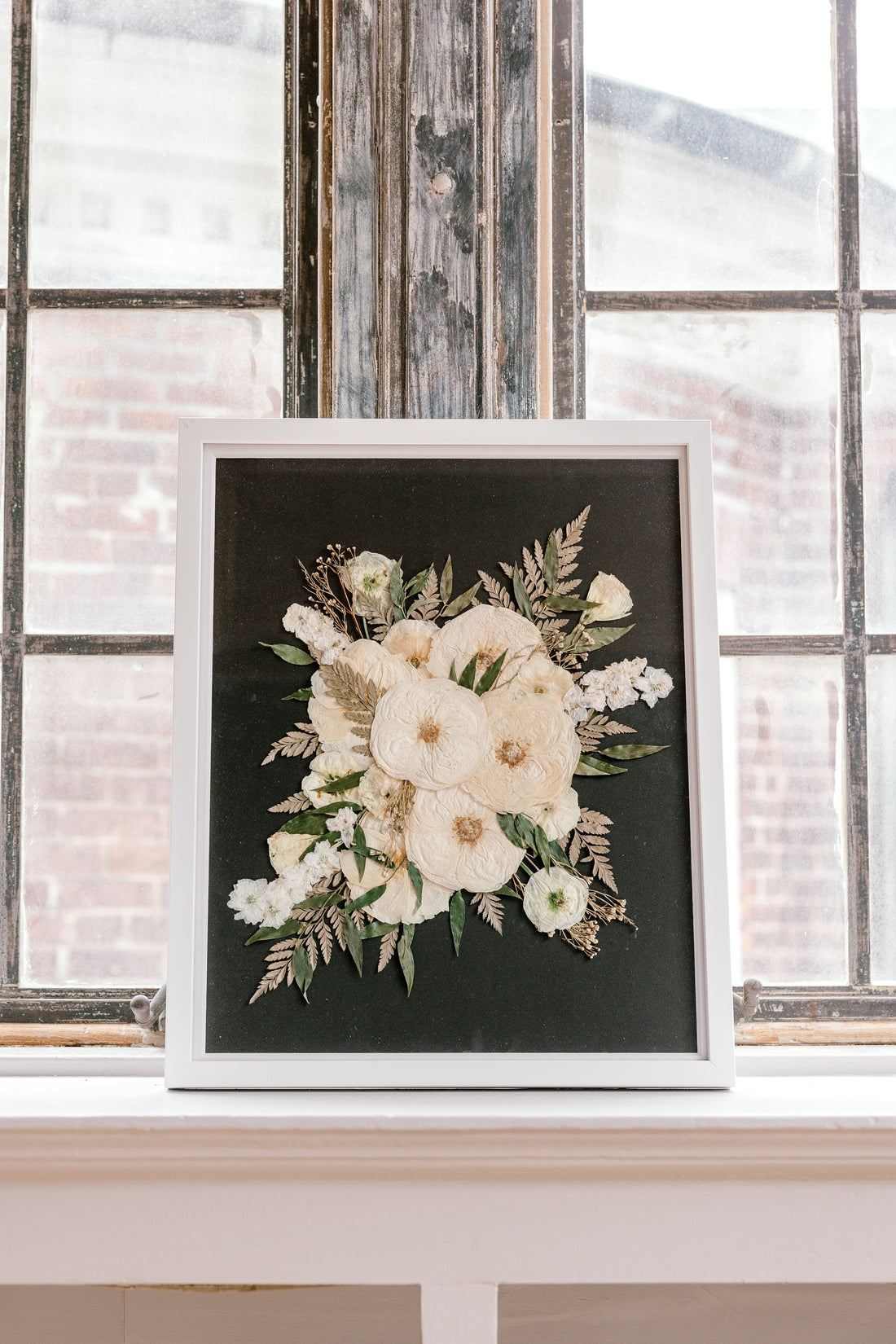 Pressed White florals against a black background showcased in a window sill. 