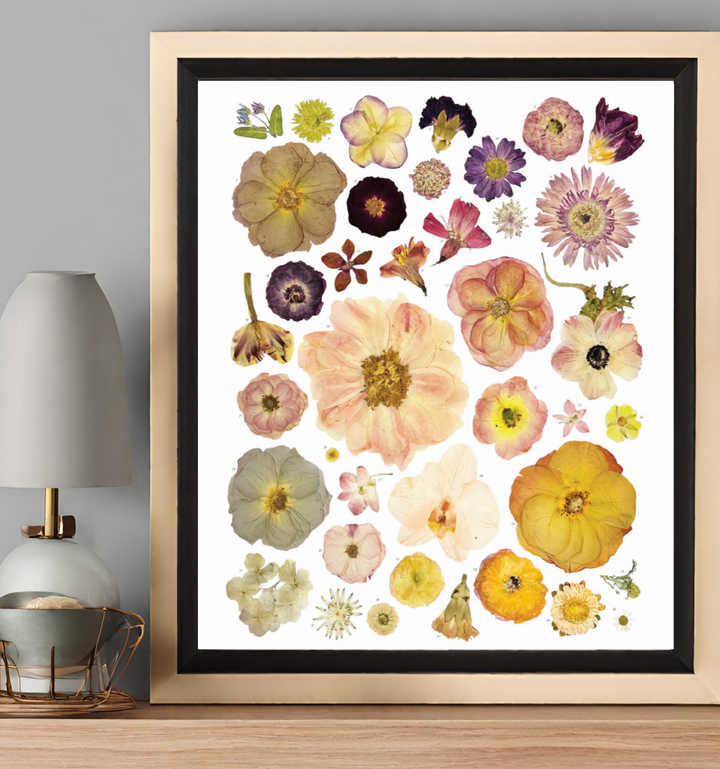 Inspo pic of pressed flower collage similar to our downloadable print, an Element pressed flower artwork design.