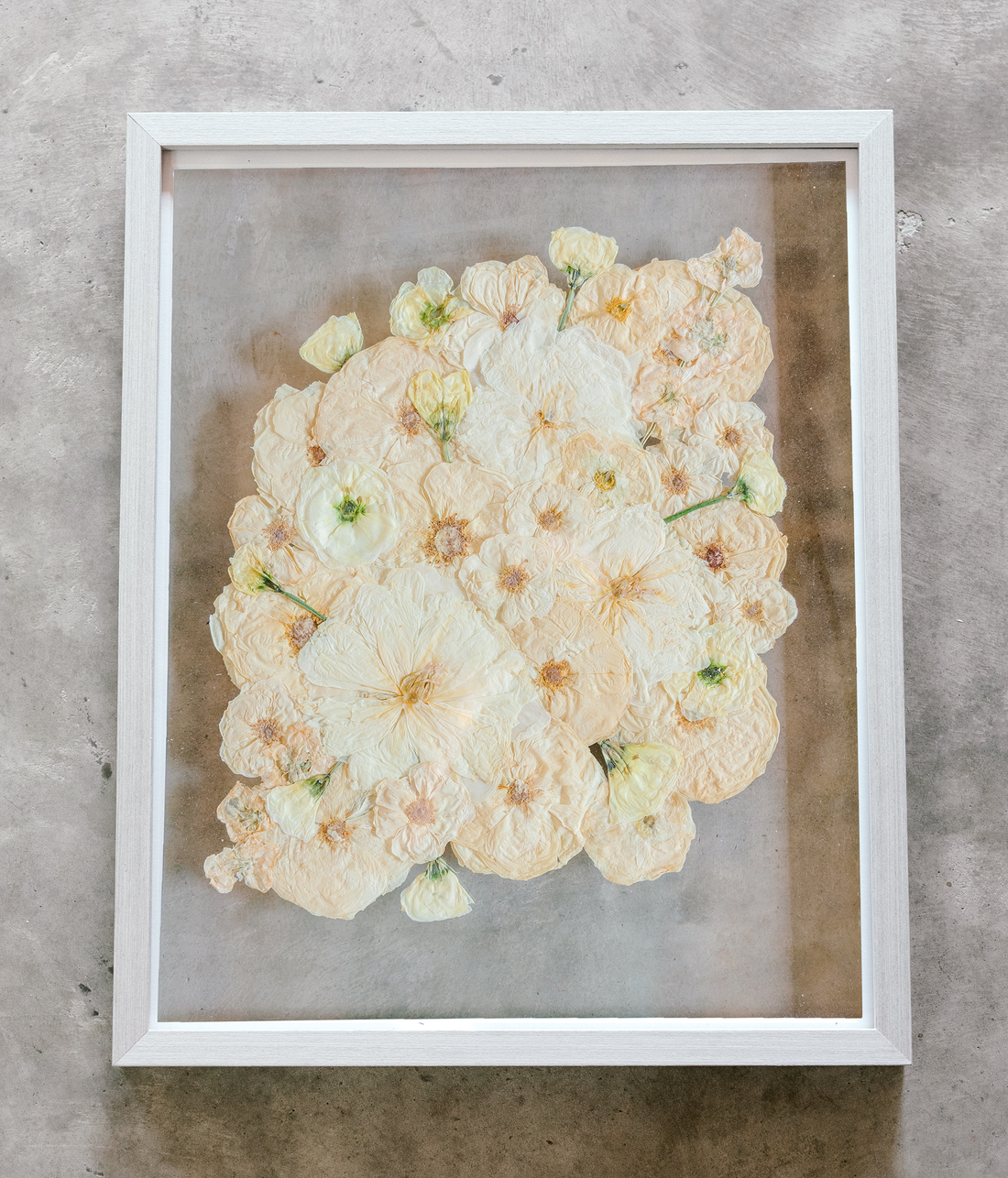 An all white ball bouquet pressed and preserved into a gray frame against concrete.