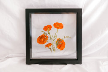 10x10 October birth flower frame - Marigold