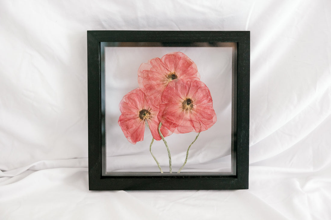 10x10 August birth flower frame - Poppies