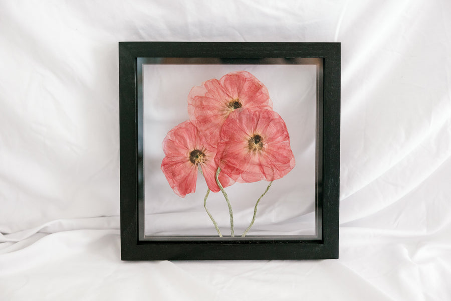 10x10 August birth flower frame - Poppies