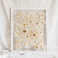 An all white bouquet with no greenery was turned into a pressed floral art piece filled with pressed roses and pressed orchids. 