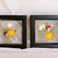Two boutonnieres pressed and preserved in 6x6" black wood frames.