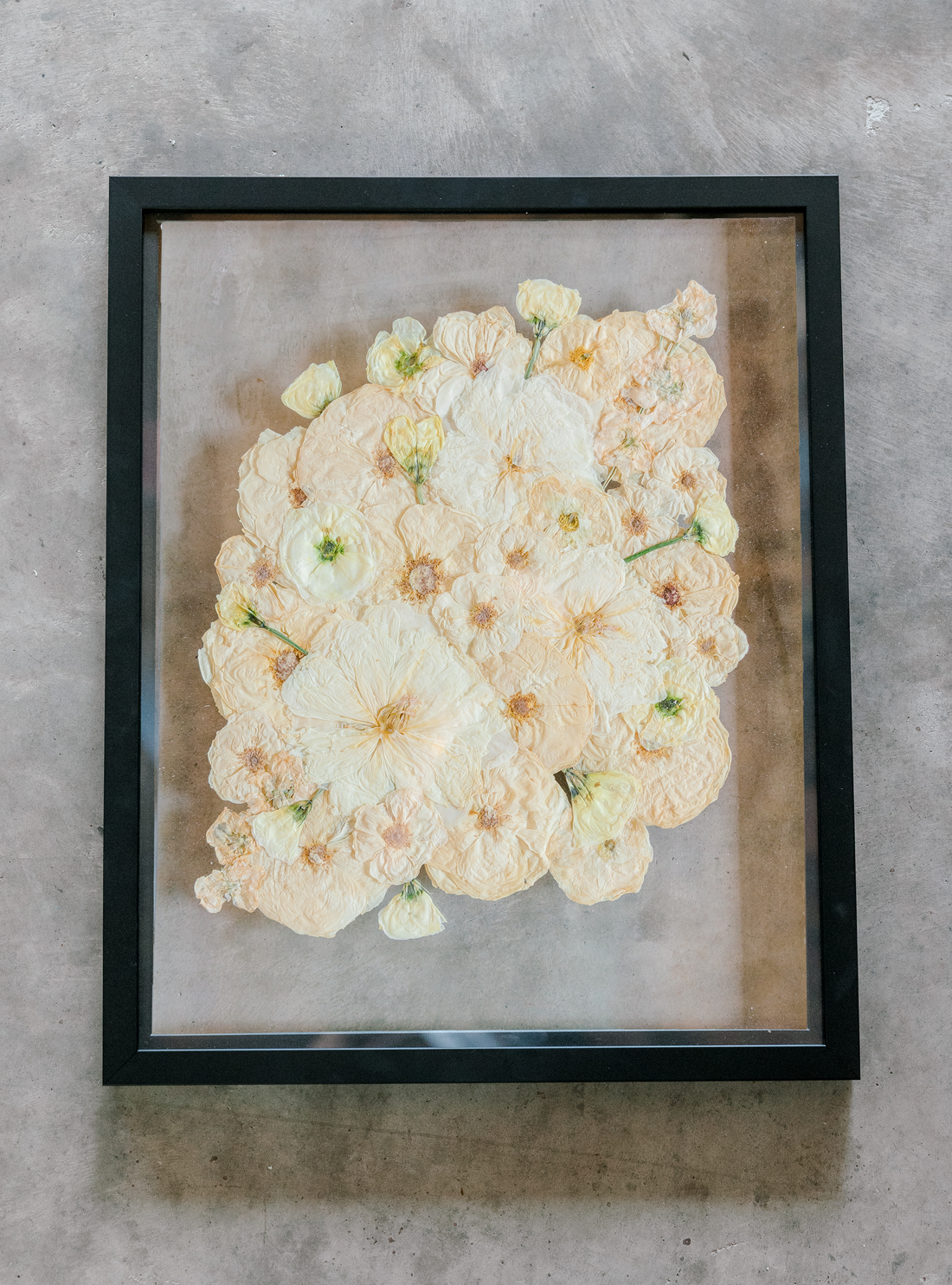 An all white ball bouquet pressed and preserved into a black frame against concrete.