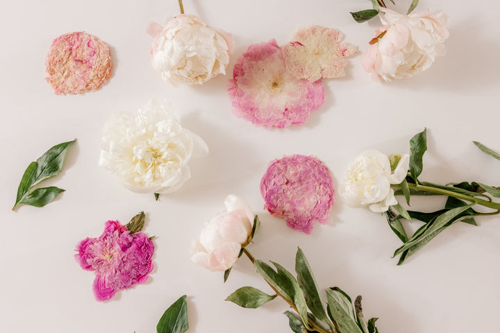 Fresh and pressed pink and white peonies - made by Element Design Co, Element Preservation, Pressed Bouquet Shop