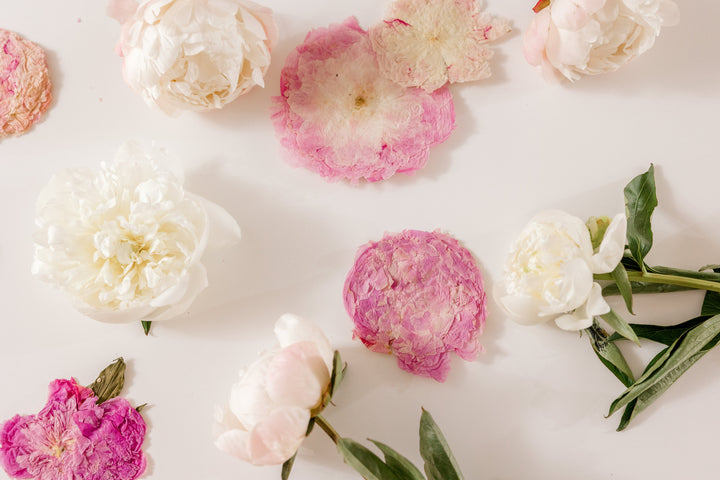 Pressed peonies and fresh peonies on at table at Element Design Co. 