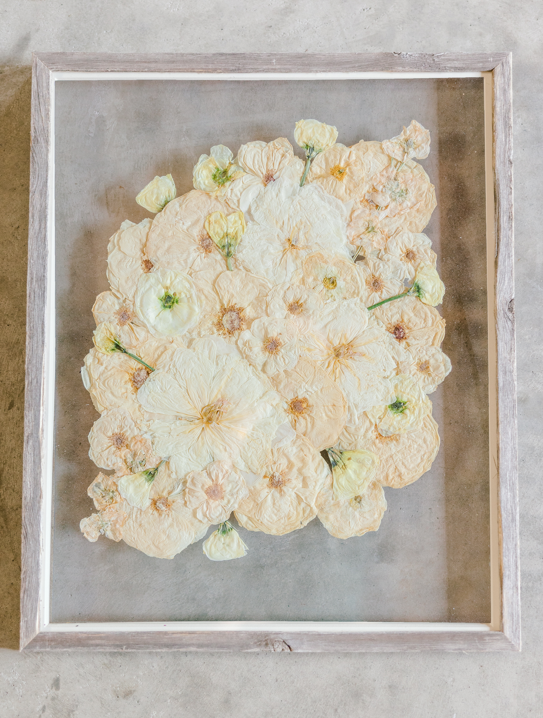 An all white ball bouquet pressed and preserved into a barn wood frame against concrete.
