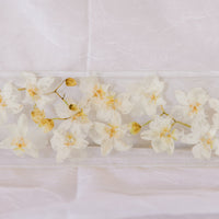 White orchids dried and preserved in a resin display tray as a functional piece of home decor