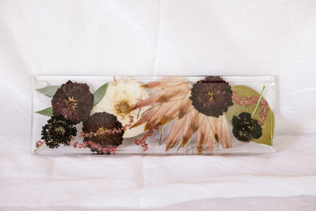 Beautiful big flowers, including a protea, dried and preserved in a resin display tray